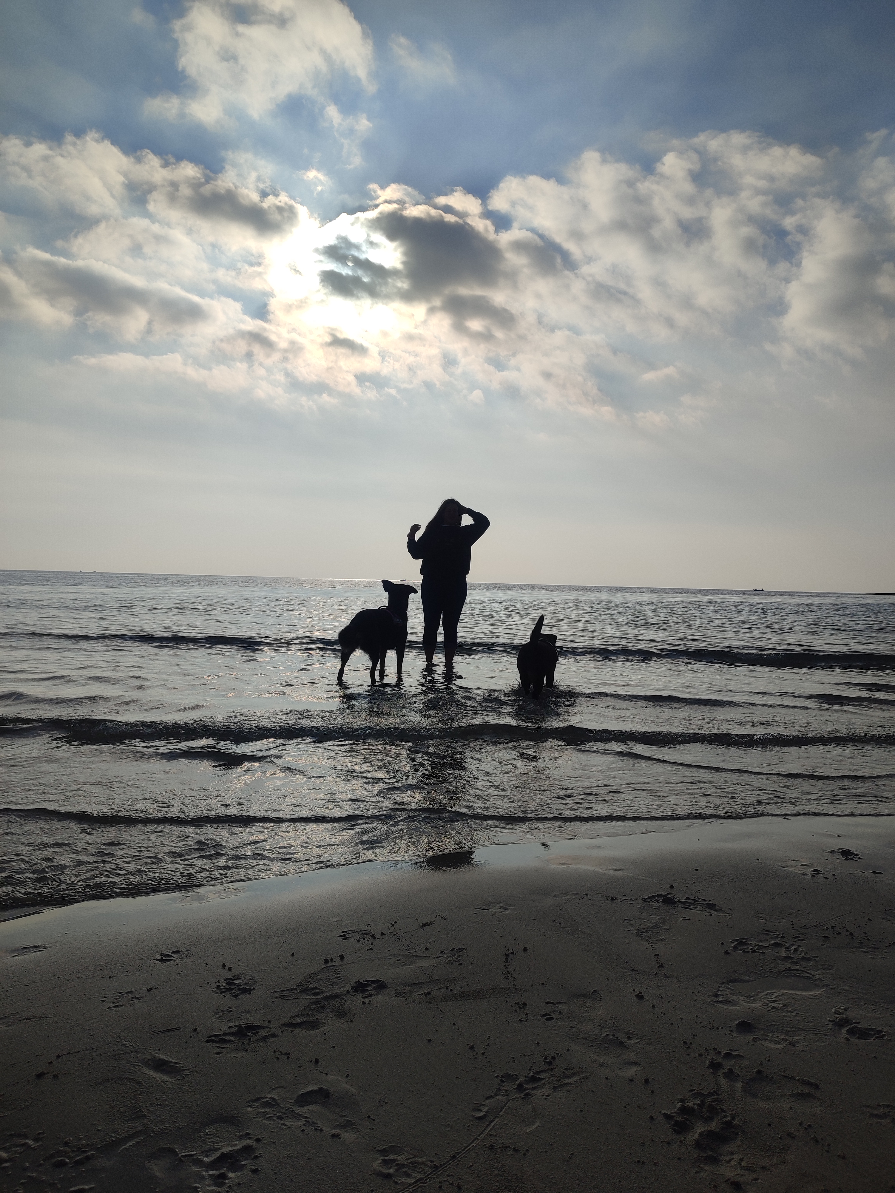 Blog