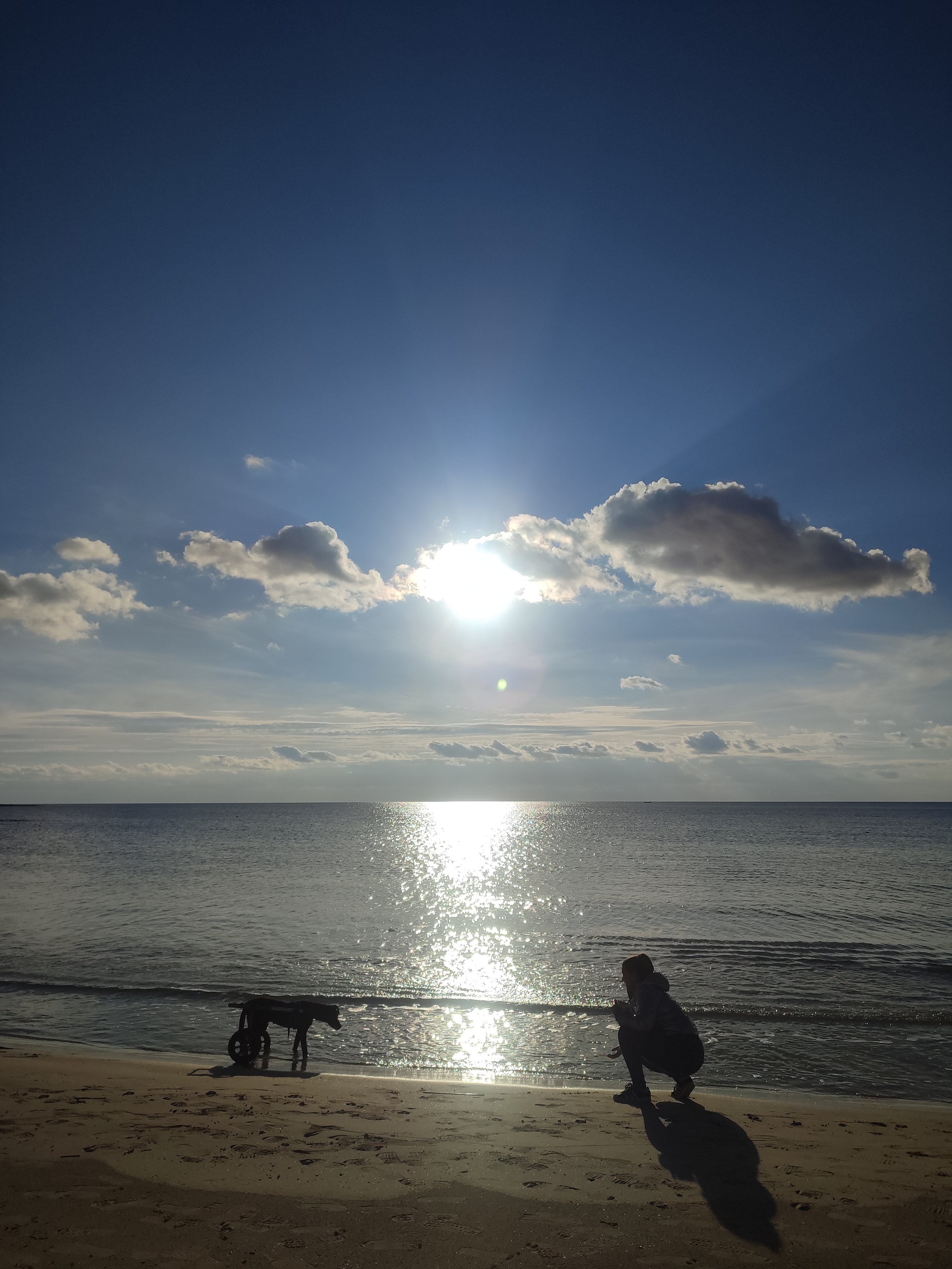 Blog